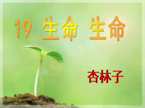 《生命生命》PPT优秀课件10