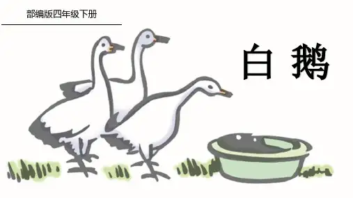 《白鹅》PPT课件