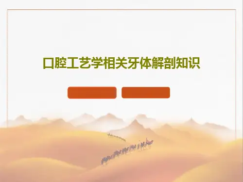 口腔工艺学相关牙体解剖知识共54页PPT