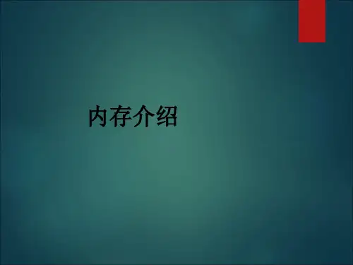 内存介绍ppt课件
