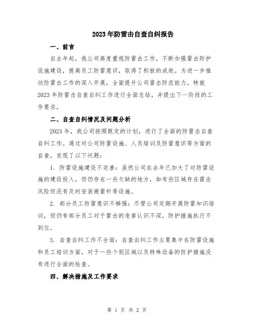 2023年防雷击自查自纠报告