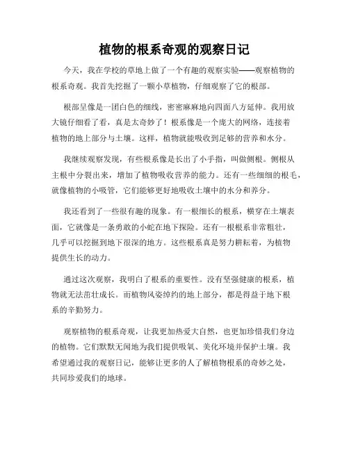 小学三年级作文植物的根系奇观的观察日记