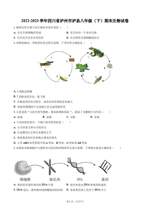 2022-2023学年四川省泸州市泸县八年级(下)期末生物试卷(含答案解析)
