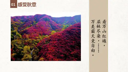 14.1《故都的秋》课件(共33张PPT)统编版高中语文必修上册