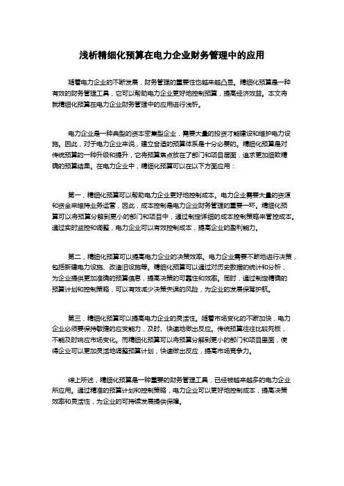 浅析精细化预算在电力企业财务管理中的应用