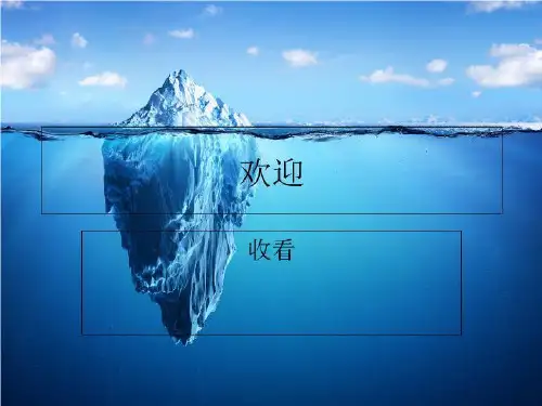 西方哲学智慧08主体性觉醒