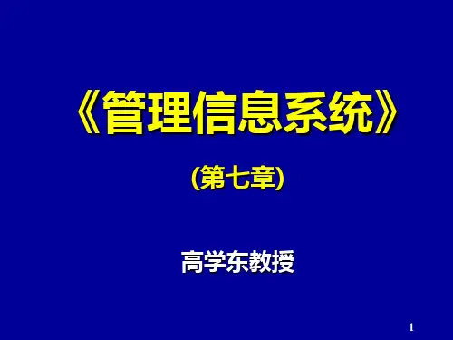 《管理信息系统教程》(第7章)-新书版