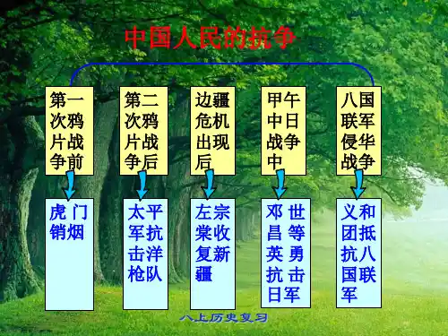 中国近代史专题三：中国近代化的起步 共47页PPT资料