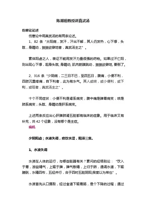陈潮祖教授讲真武汤
