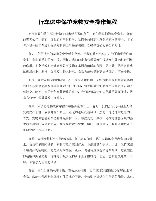 行车途中保护宠物安全操作规程