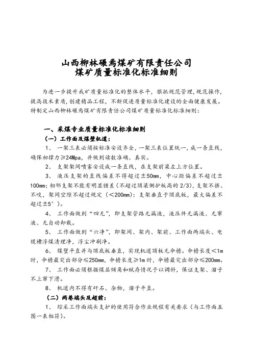 煤矿质量标准化实施细则(修改稿)