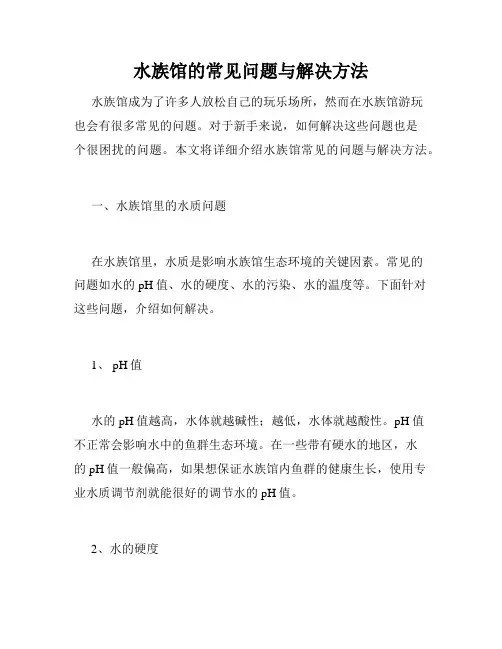 水族馆的常见问题与解决方法