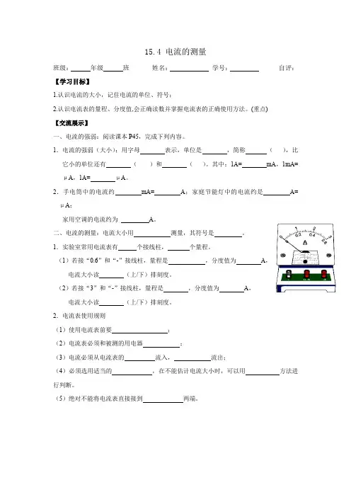 15 4 电流的测量  练习 人教版九年级全一册物理 