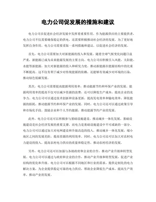 电力公司促发展的措施和建议