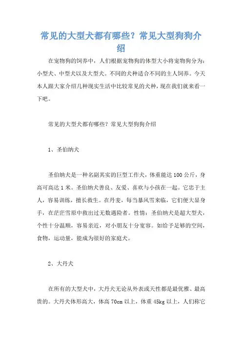 常见的大型犬都有哪些？常见大型狗狗介绍