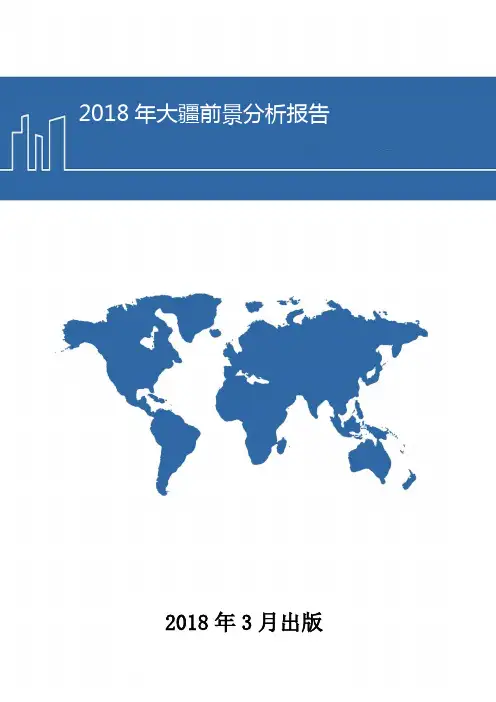 2018年大疆前景分析报告