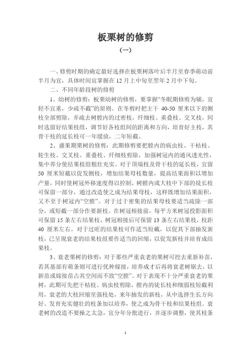 板栗的修剪