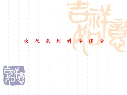 苏教小学科学四下《2.1.我们来养蚕》PPT课件(1)