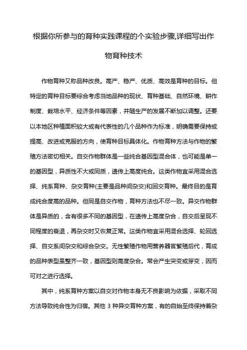 根据你所参与的育种实践课程的个实验步骤,详细写出作物育种技术