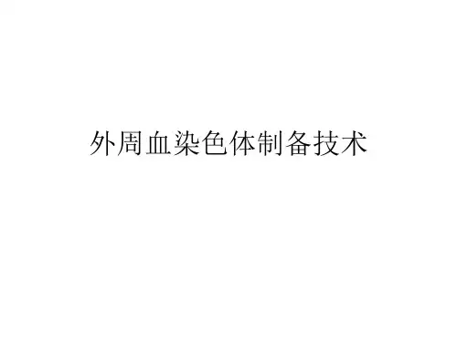染色体标本制备