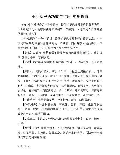 小叶枇杷的功效与作用 药用价值