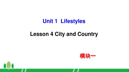 北师大版必修一高一上学期英语 unit1 Lesson 4 City and Country(共29张PPT)