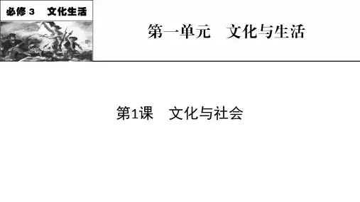 新高考政治人教版一轮复习课件必修3第1课文化与社会