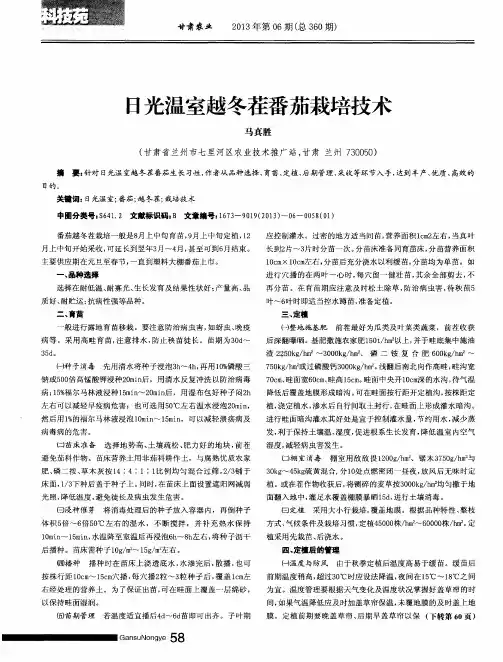 日光温室越冬茬番茄栽培技术