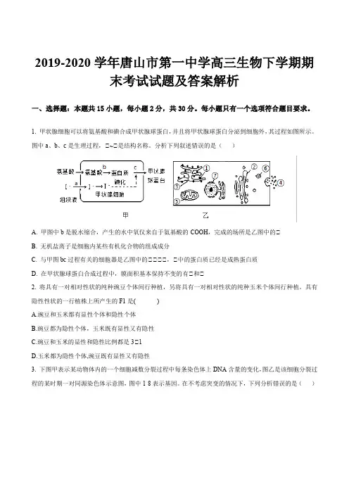 2019-2020学年唐山市第一中学高三生物下学期期末考试试题及答案解析