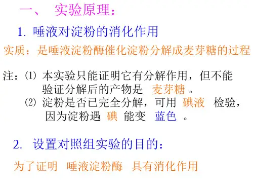 九年级科学酶2(PPT)5-2