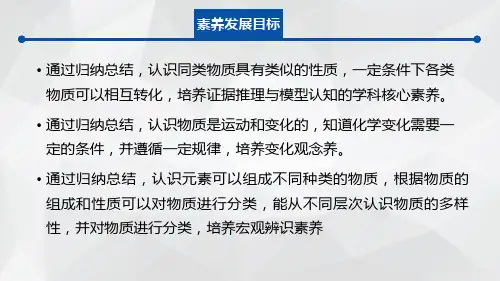 1.1物质的分类与转化课件人教版必修第一册