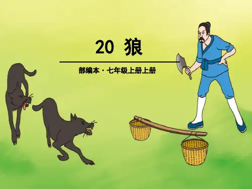 部编版七年级语文上册18狼课件(共15张幻灯片)