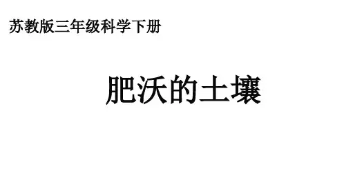 小学科学苏教版《肥沃的土壤》PPT公开课课件1