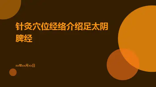 针灸穴位经络介绍足太阴脾经