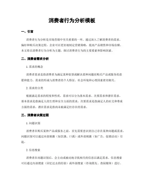 消费者行为分析模板