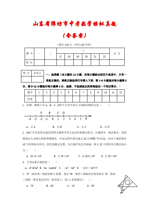 【2021】山东省潍坊市中考数学模拟测试题(含答案)