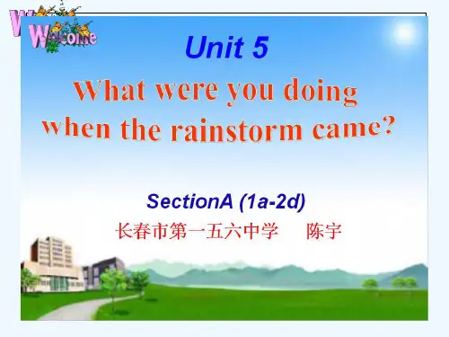 英语人教版八年级下册Unit 5 What were you doing wh