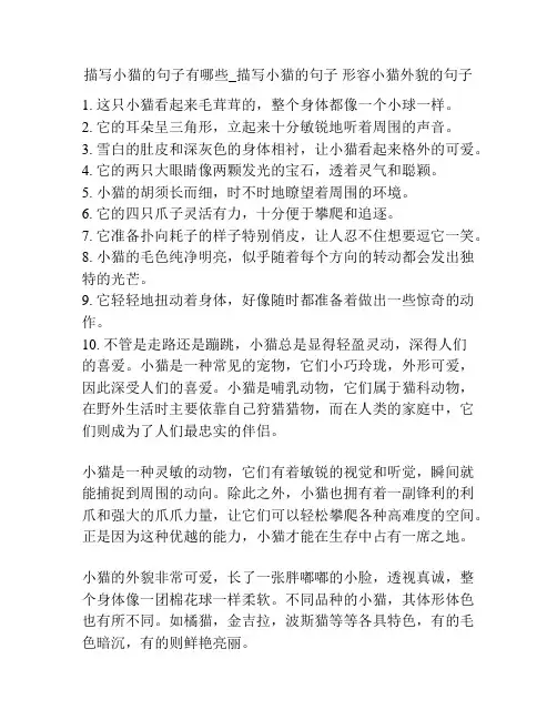 描写小猫的句子有哪些_描写小猫的句子 形容小猫外貌的句子