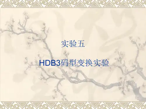 HDB3码型变换实验.