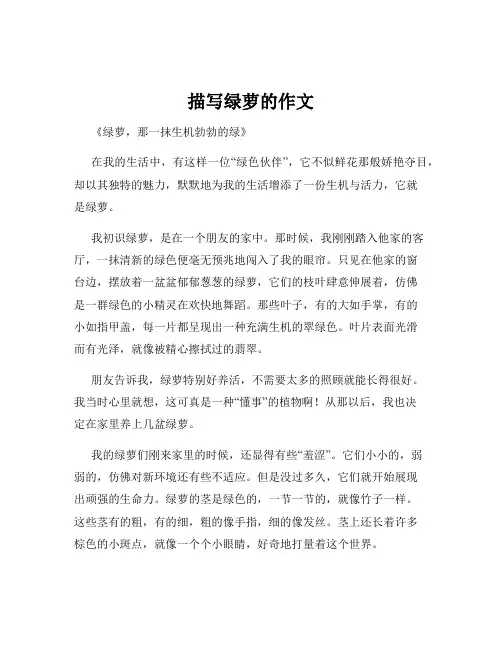 描写绿萝的作文
