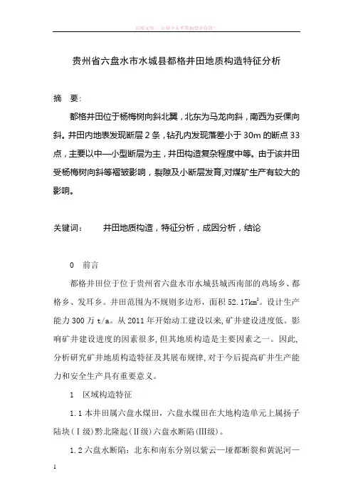 贵州省六盘水市水城县都格井田地质构造特征分析 (1)