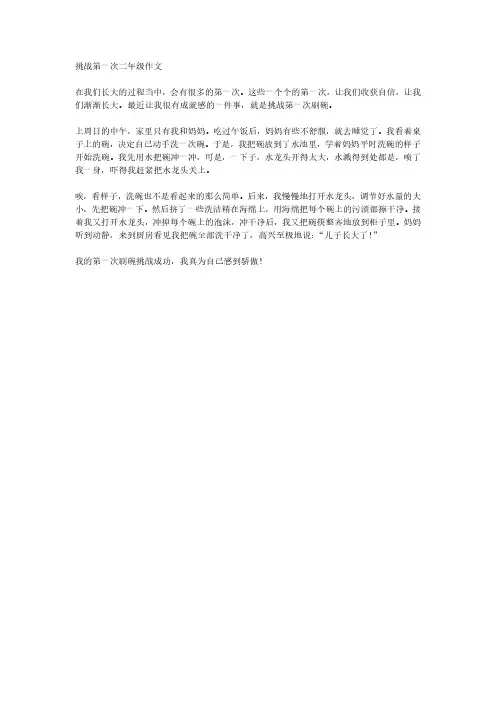 挑战第一次二年级作文