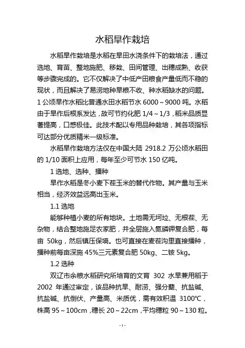 水稻旱作栽培