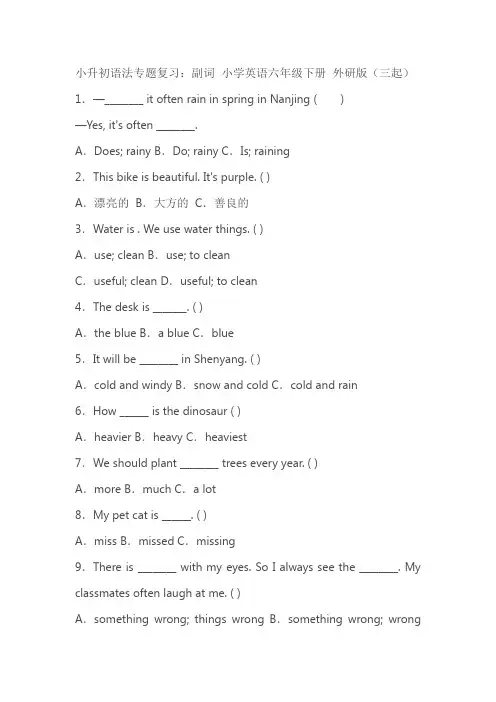 小升初语法专题复习：副词 小学英语六年级下册 外研版(三起)(含答案)