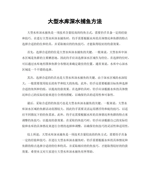 大型水库深水捕鱼方法