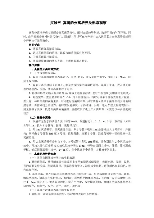 实验五真菌的分离培养及形态观察