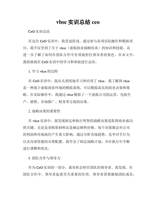 vbse实训总结ceo