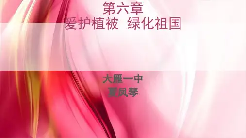 人教版初中生物七上第六章《爱护植被,绿化祖国》优质课件(共21张PPT)