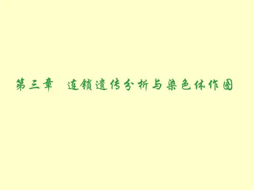 第六章-性染色体与性别决定【可编辑的PPT文档】