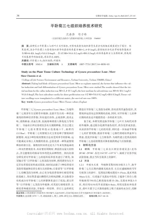 平卧菊三七组织培养技术研究